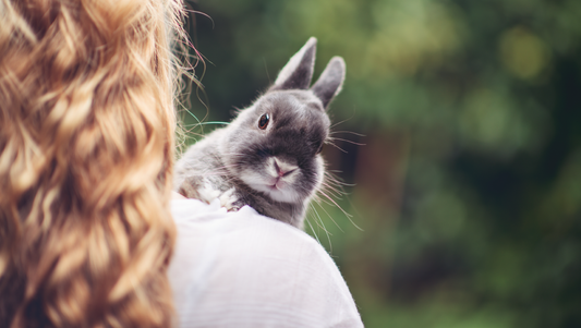Cosméticos libres de crueldad animal