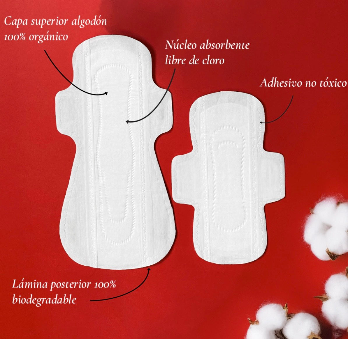 Carmina- Toallas femeninas ORGÁNICAS Y BIODEGRADABLES