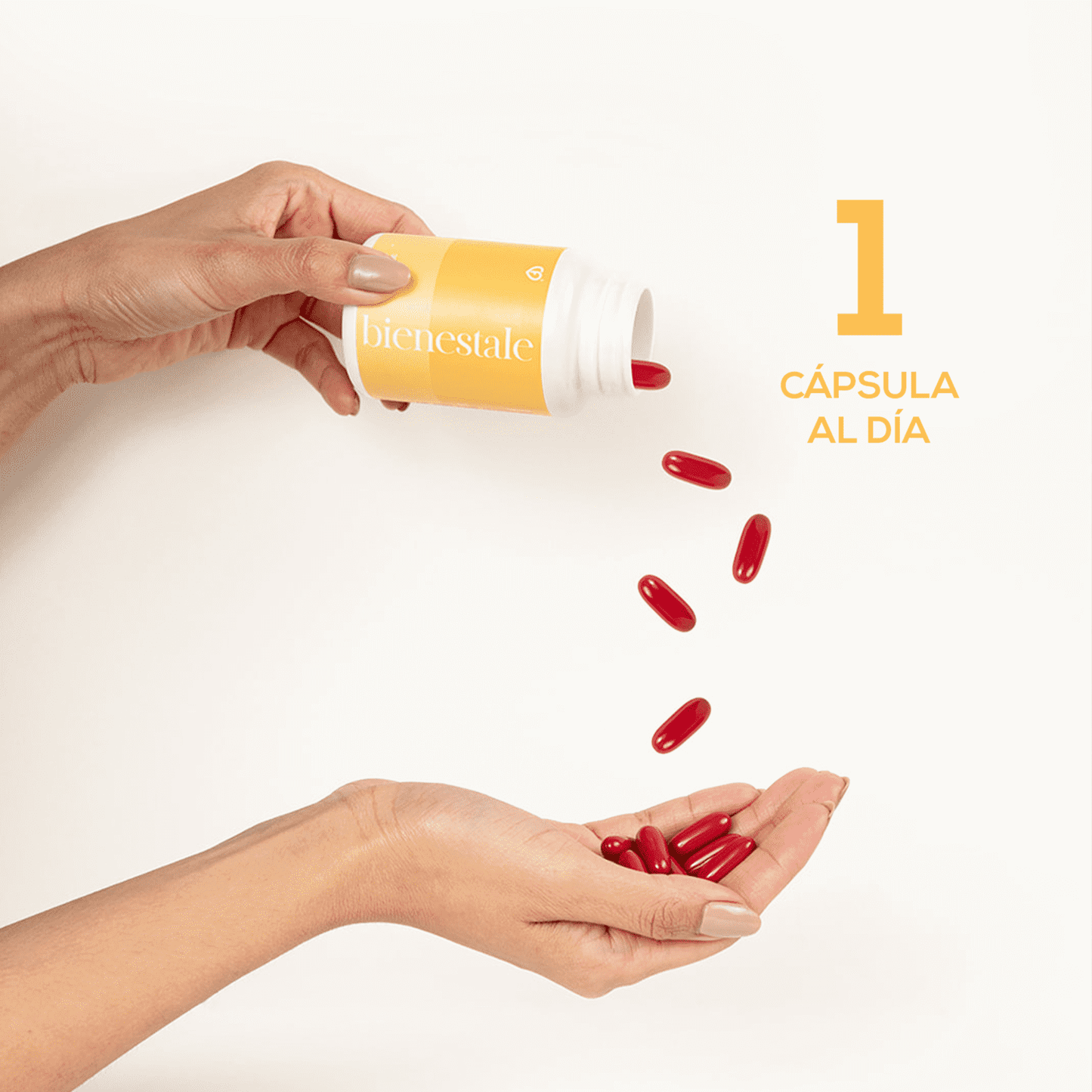 Caro Fit- Bienstale