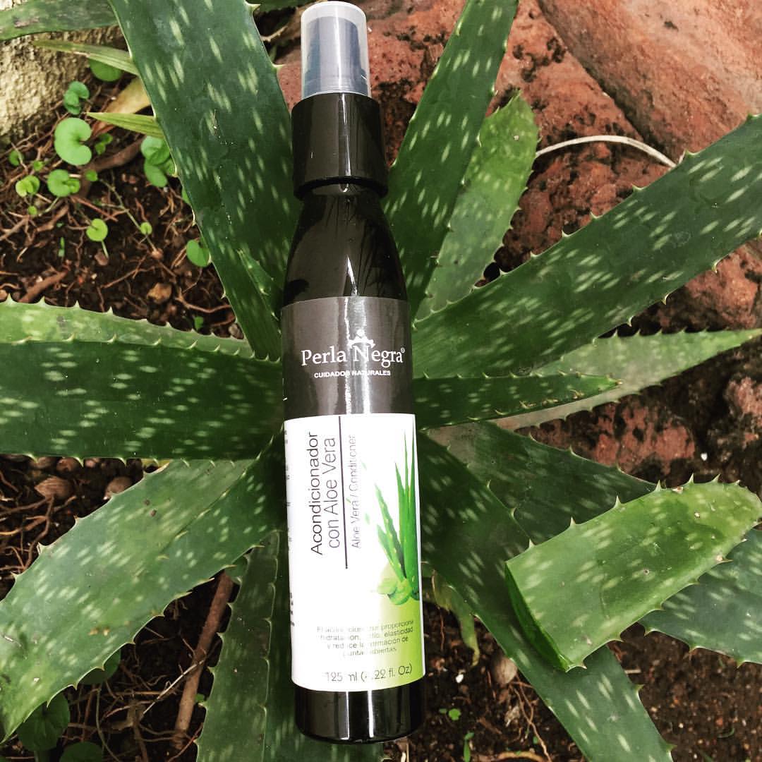 Perla Negra- Acondicionador con aloe vera