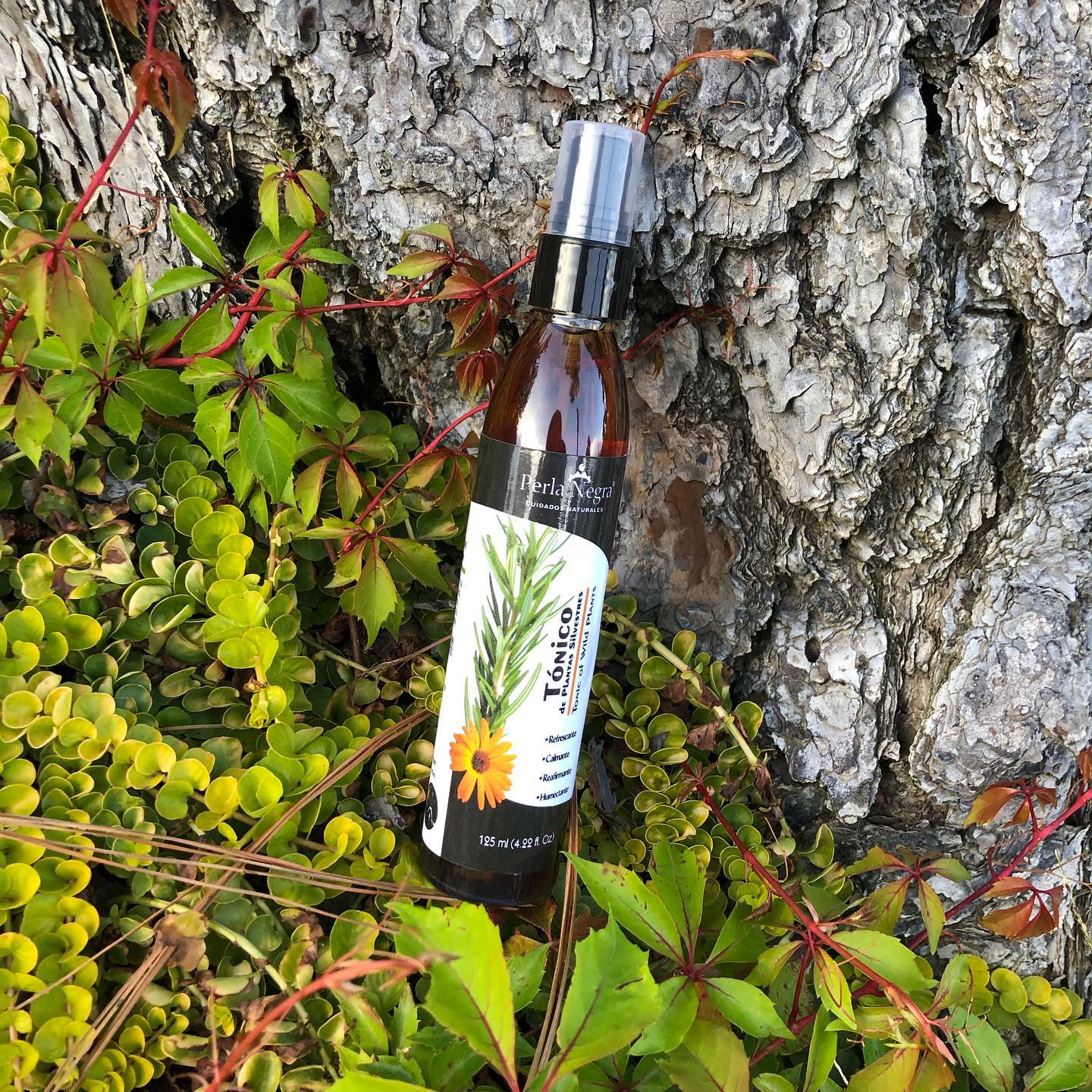 Perla Negra- Tónico facial de plantas silvestres