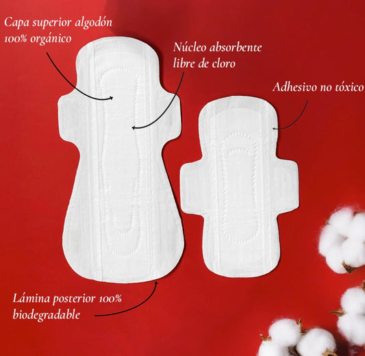 Carmina- Toallas femeninas ORGÁNICAS Y BIODEGRADABLES